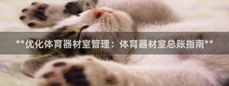 耀世娱乐百科官网：**优化体育器材室管理：体育器材室