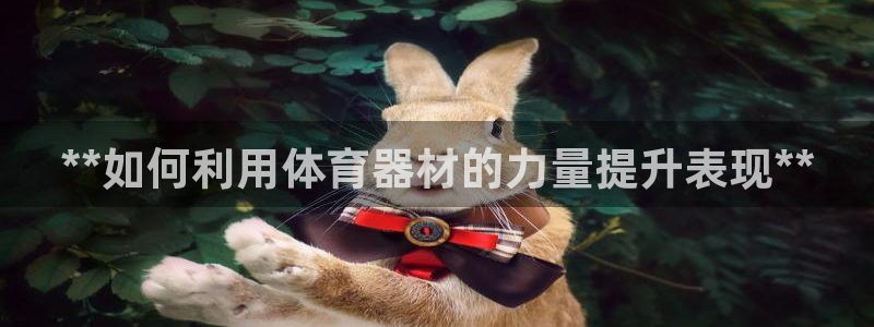 耀世平台开户流程图：**如何利用体育器材的力量提升表现**