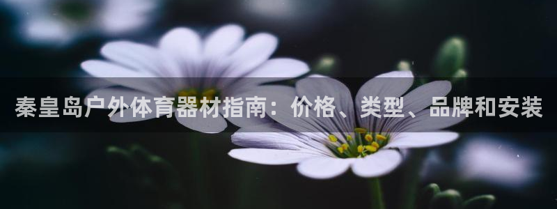 耀世娱乐是不是很黑的：秦皇岛户外体育器材指南：价格、