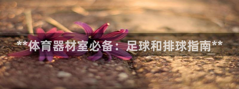耀世而生什么意思