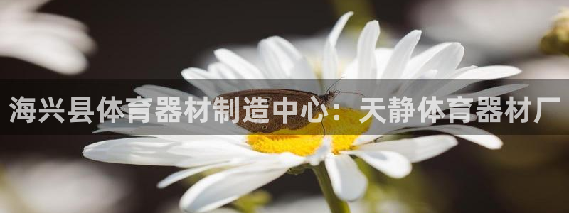 耀世小说全文免费阅读