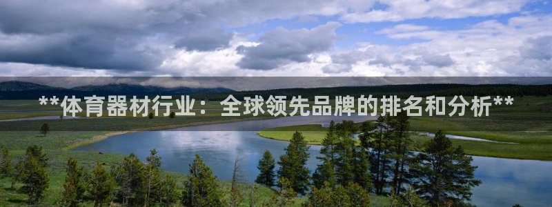 耀世官网入口：**体育器材行业：全球领先品牌的排名和