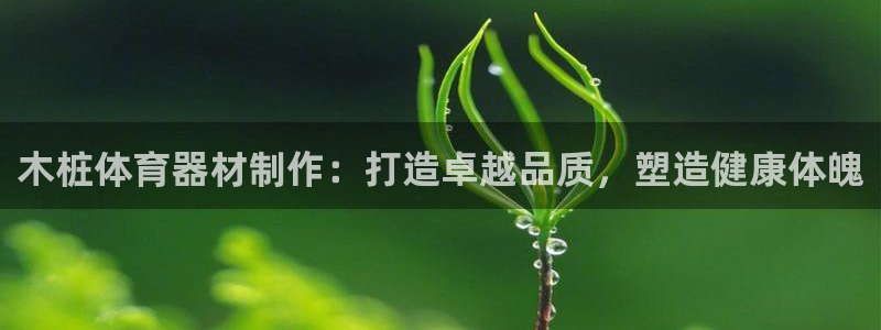 耀世娱乐辅助软件下载安卓：木桩体育器材制作：打造卓越