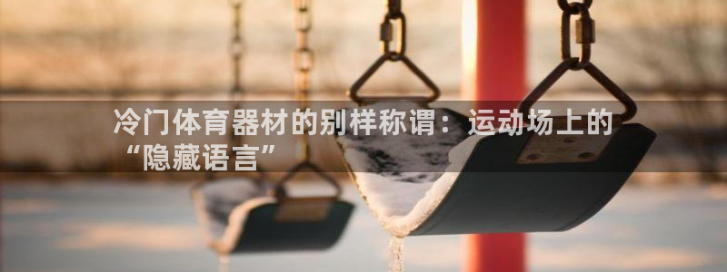 耀世平台注册流程图：冷门体育器材的别样称谓：运动场上的
“隐