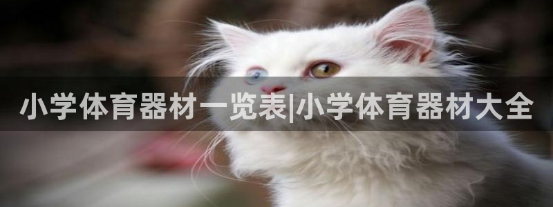 耀世娱乐注册账号