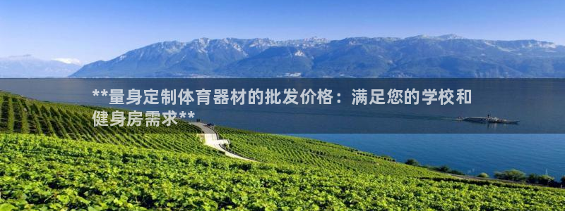 耀世娱乐电 5O6917 娱乐：**量身定制体育器材的批发价