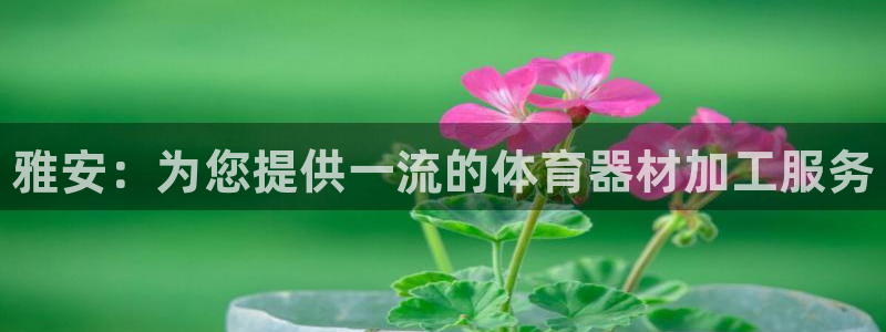 耀世平台嗯 5o69I7：雅安：为您提供一流的体育器