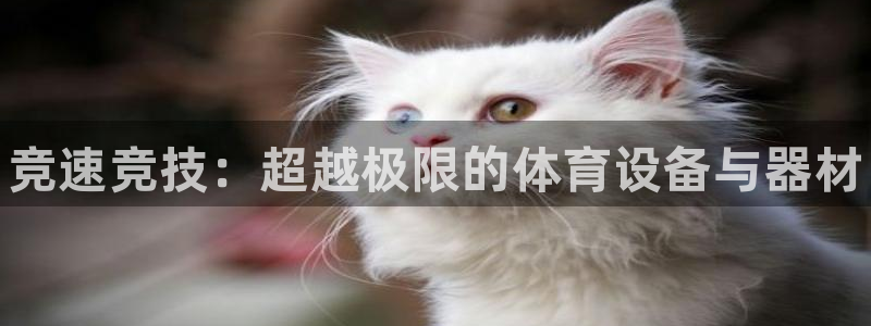 耀世是什么意思：竞速竞技：超越极限的体育设备与器材