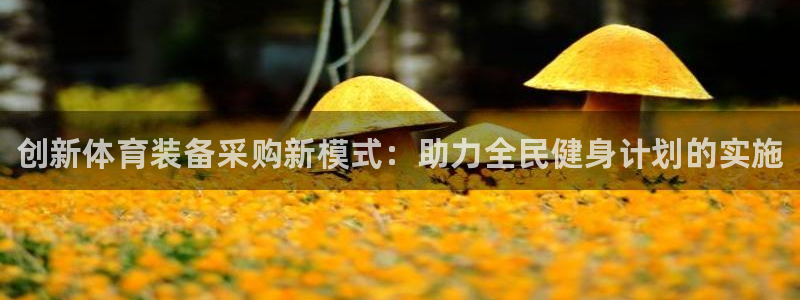 耀世娱乐官网网站下载：创新体育装备采购新模式：助力全民健身计