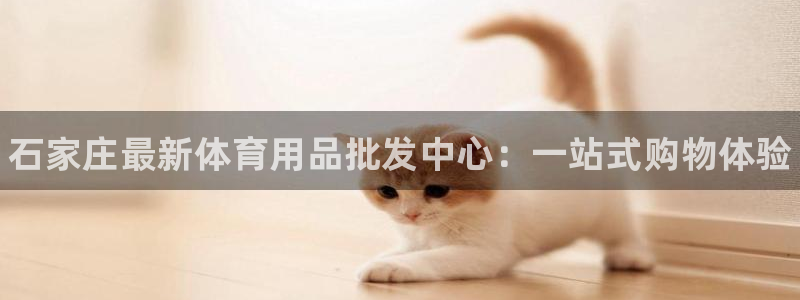 耀世平台注册开户要求：石家庄最新体育用品批发中心：一站式购物