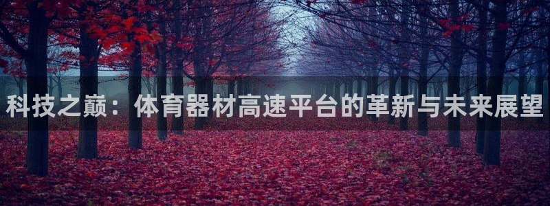 耀世平台的运营模式是什么：科技之巅：体育器材高速平台的革新与