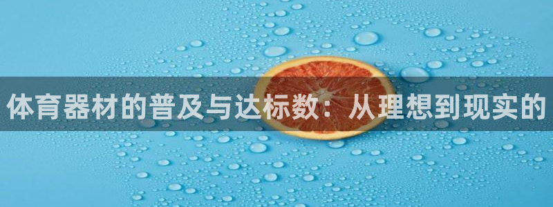 耀世娱乐挂机怎么玩:体育器材的普及与达标数:从理想到现实的